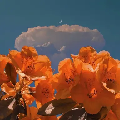 Profile image of 박영환