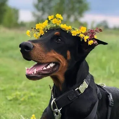 Profile image of 브라이언