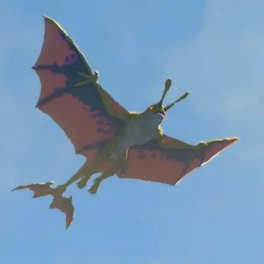 Profile image of Aerocuda