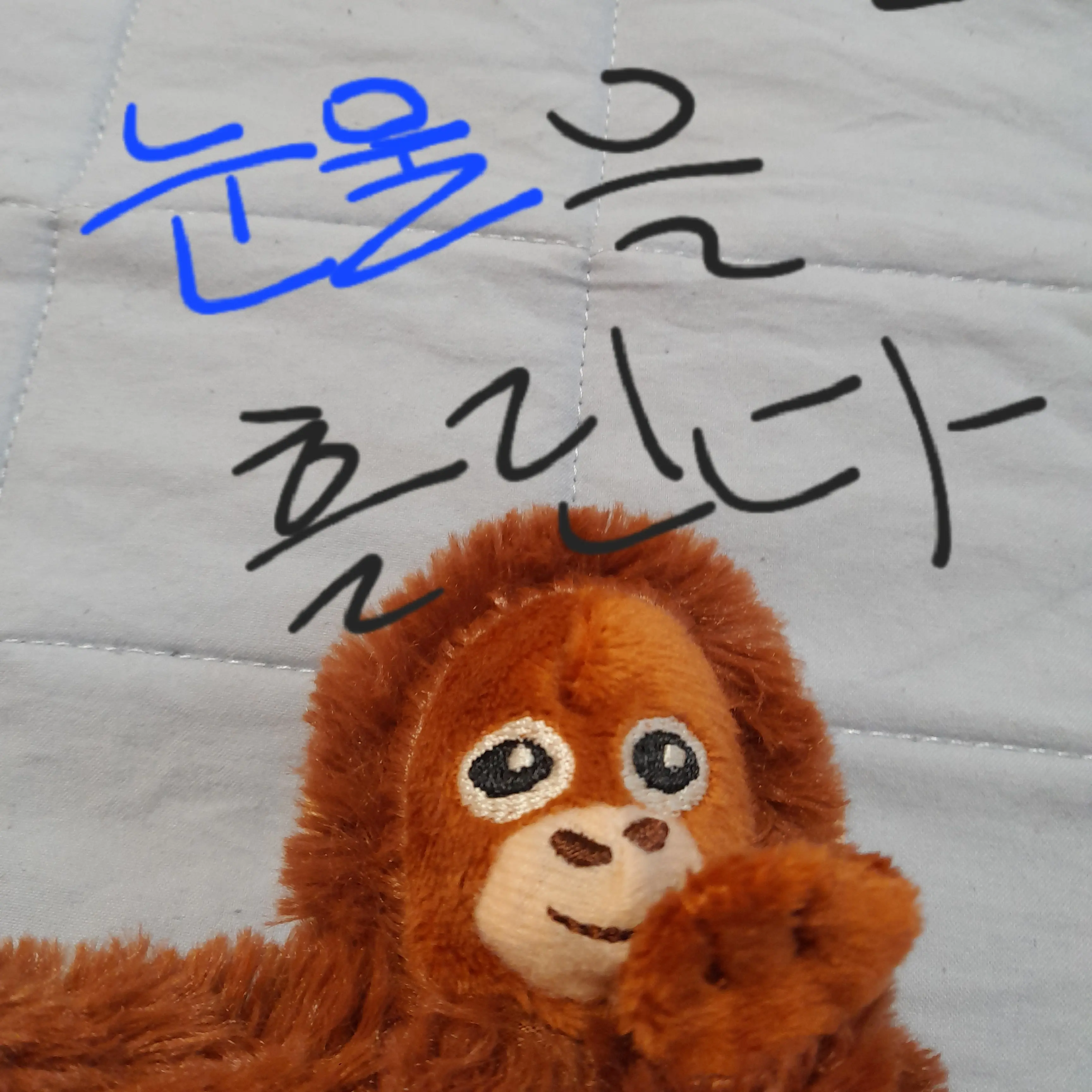VastSnore9591의 ㅌㅇㅅㅌ