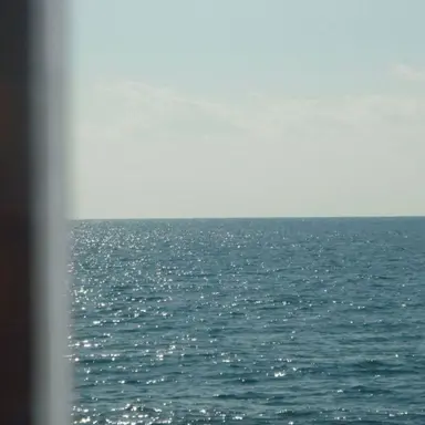 Profile image of 海