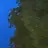 リノ