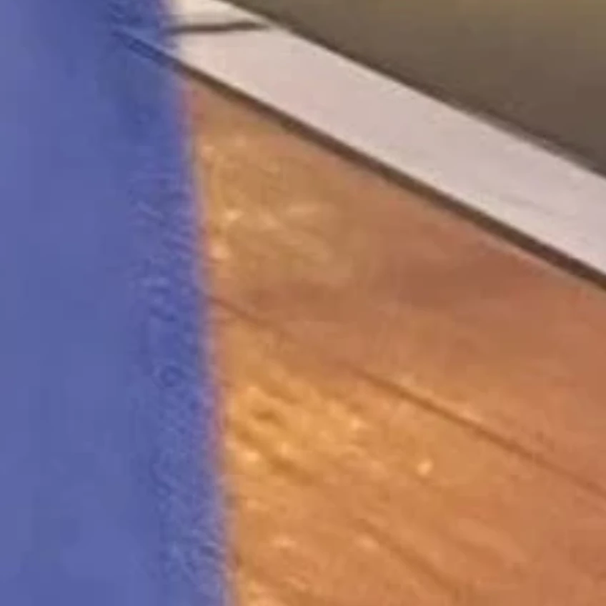 チャニ