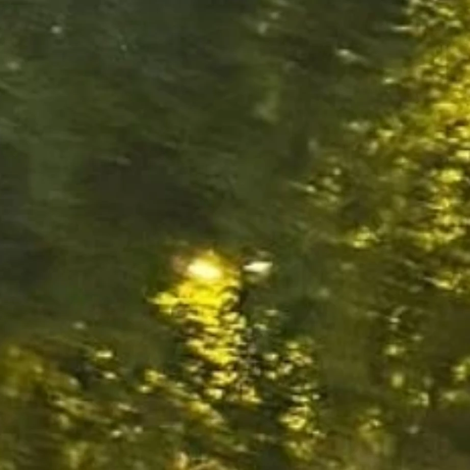 リクス