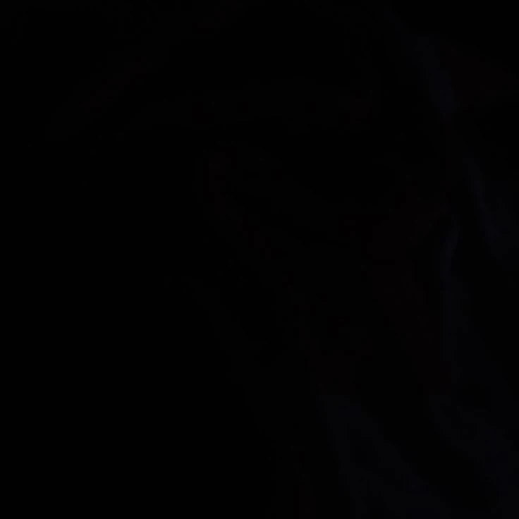 다공일수
