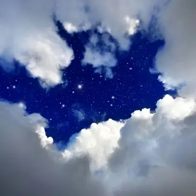 Profile image of 파이브