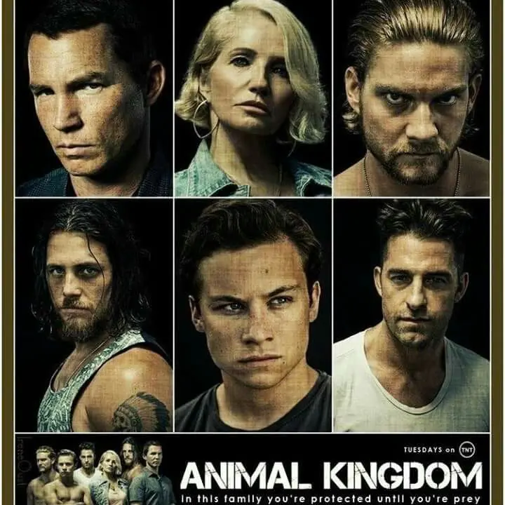 DenseTune3100의 Animal Kingdom