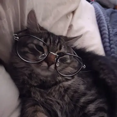 Profile image of 原