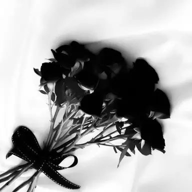 Profile image of 벨라드