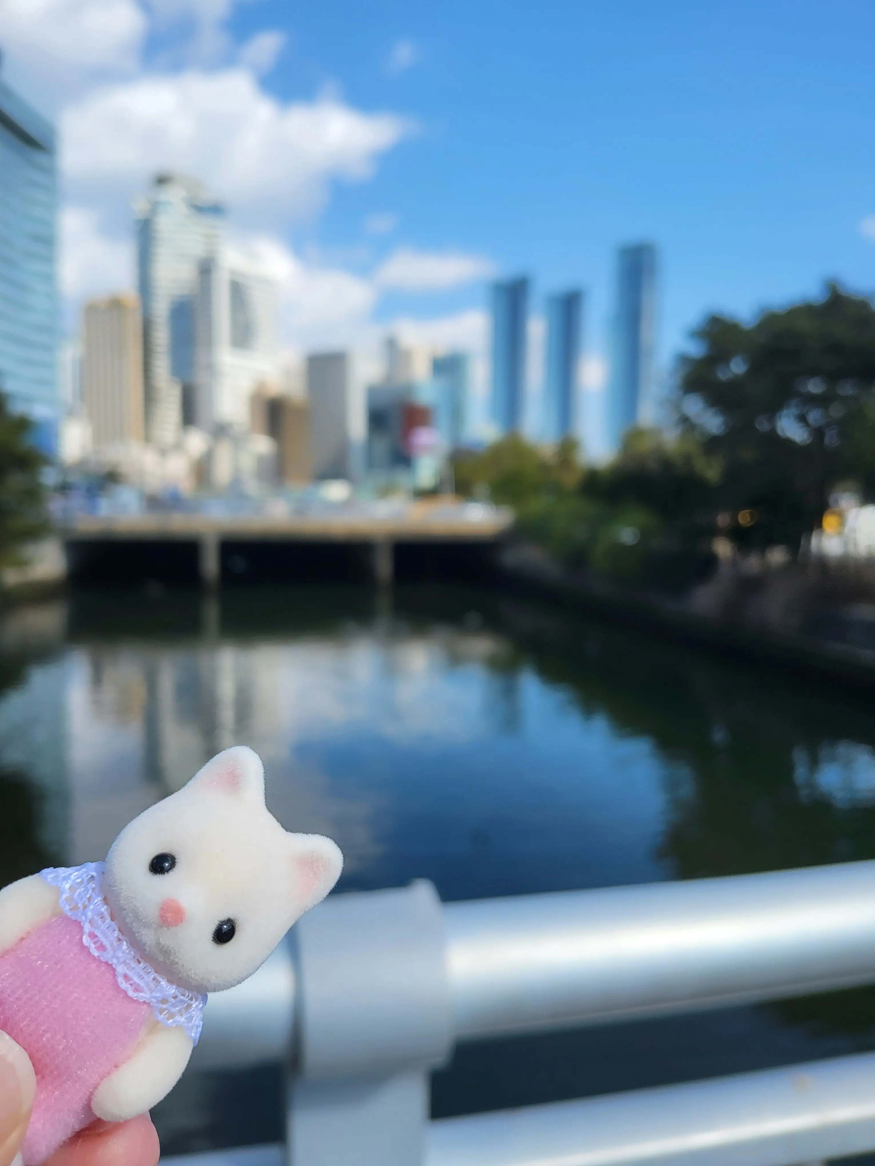 SillyCow9890의 라이벌 학교