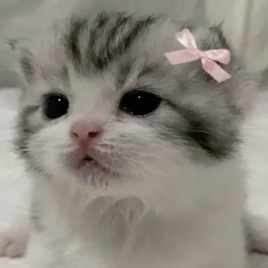 Profile image of 하린