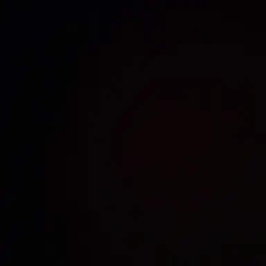 Profile image of 쿼스트