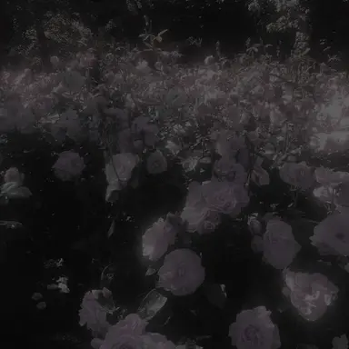 Profile image of 유지민