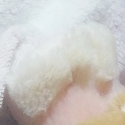 琉夏