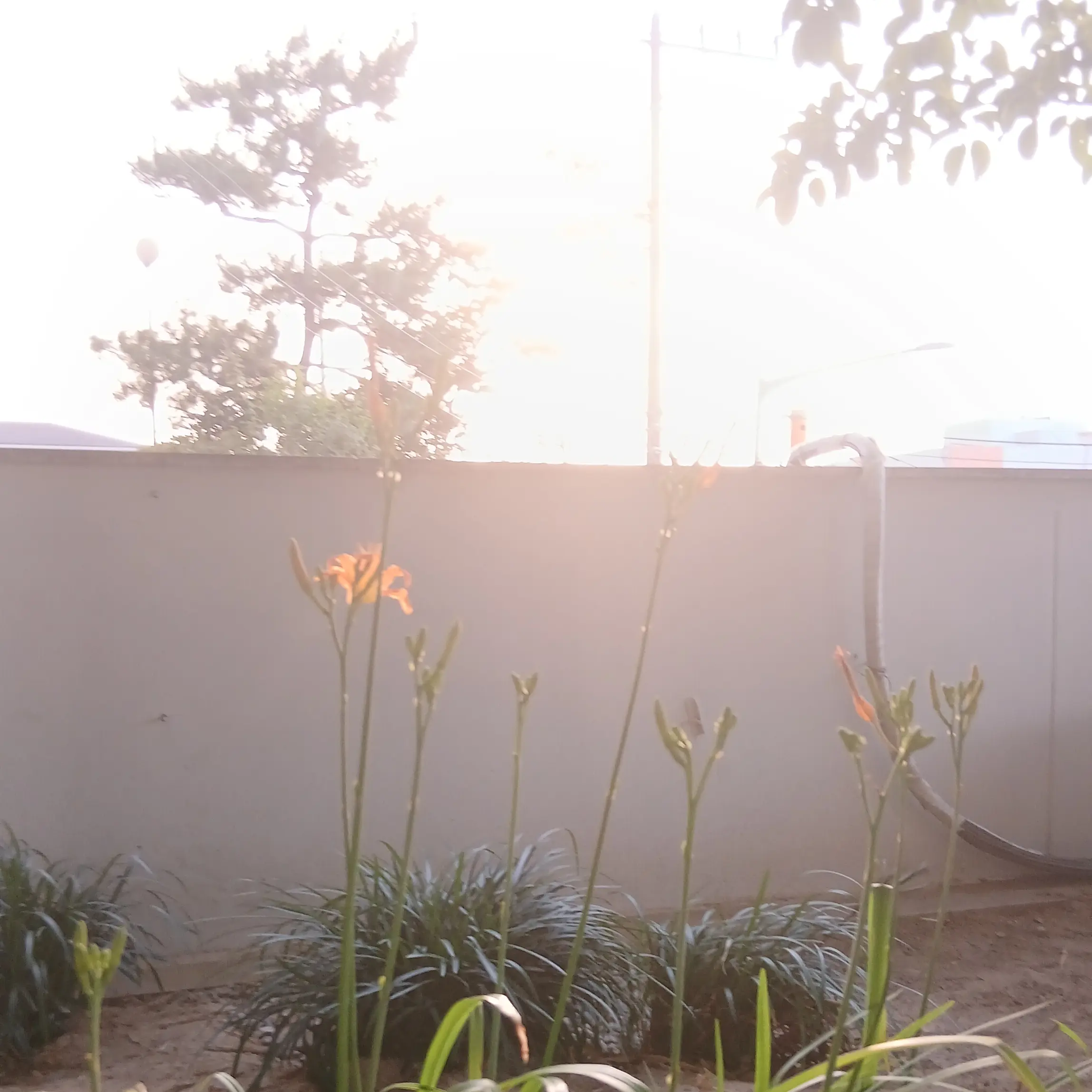 Yre7tfdy5rdsdry의 등급고등학교(설명읽고하면 더꿀잼)