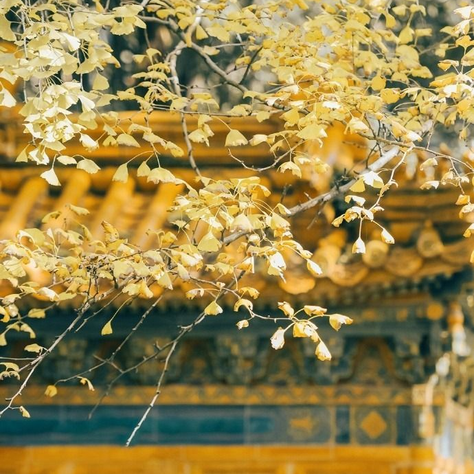 폭군 대표 이미지