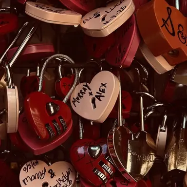 Profile image of 003