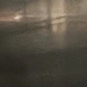 Profile image of 유지민