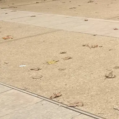 Profile image of 유지민