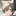 あらた
