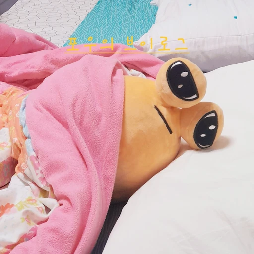 포우