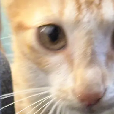 Profile image of 빈