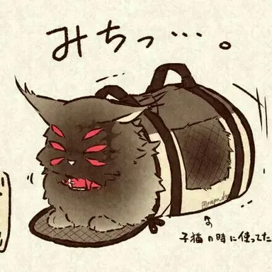 Profile image of 츠코