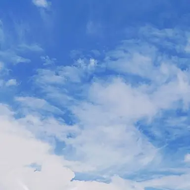 Profile image of 太 智