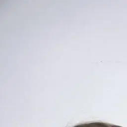 Profile image of 박종성