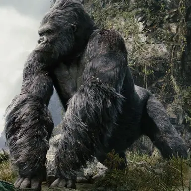 Profile image of King Kong