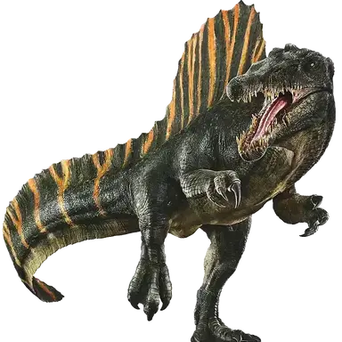 Profile image of 네이머