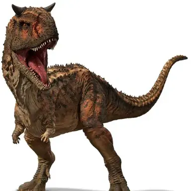 Profile image of 토로