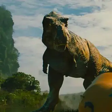 Profile image of 엠버