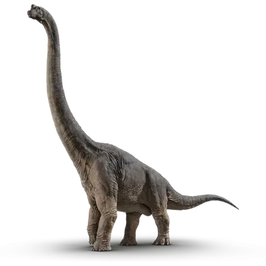 Profile image of 실버