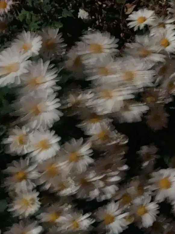 DottedComic3674의 五条 悟