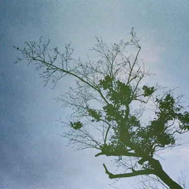 Profile image of 大森元貴