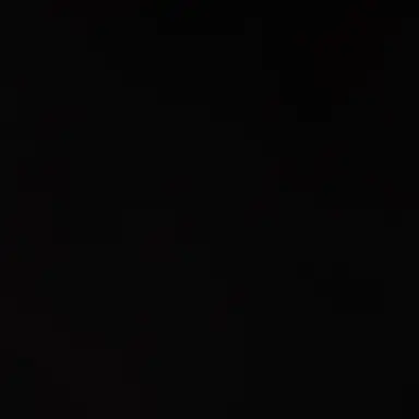 Profile image of 선 주윤