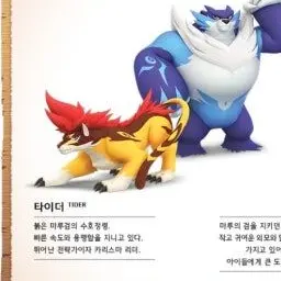 Profile image of 타이더