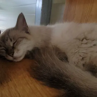 Profile image of TAKI쨩