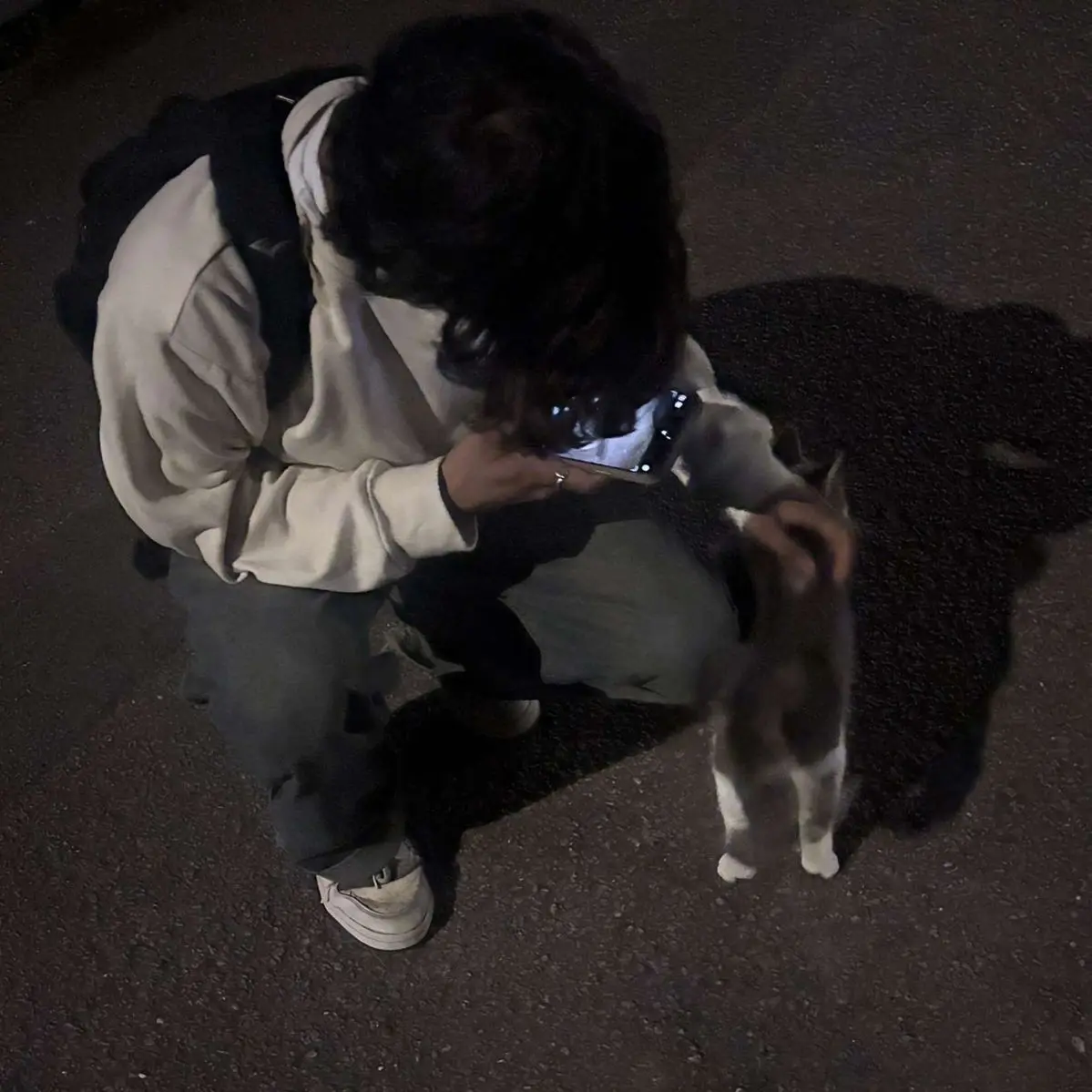 ThinLid9537의 シャイな大学生