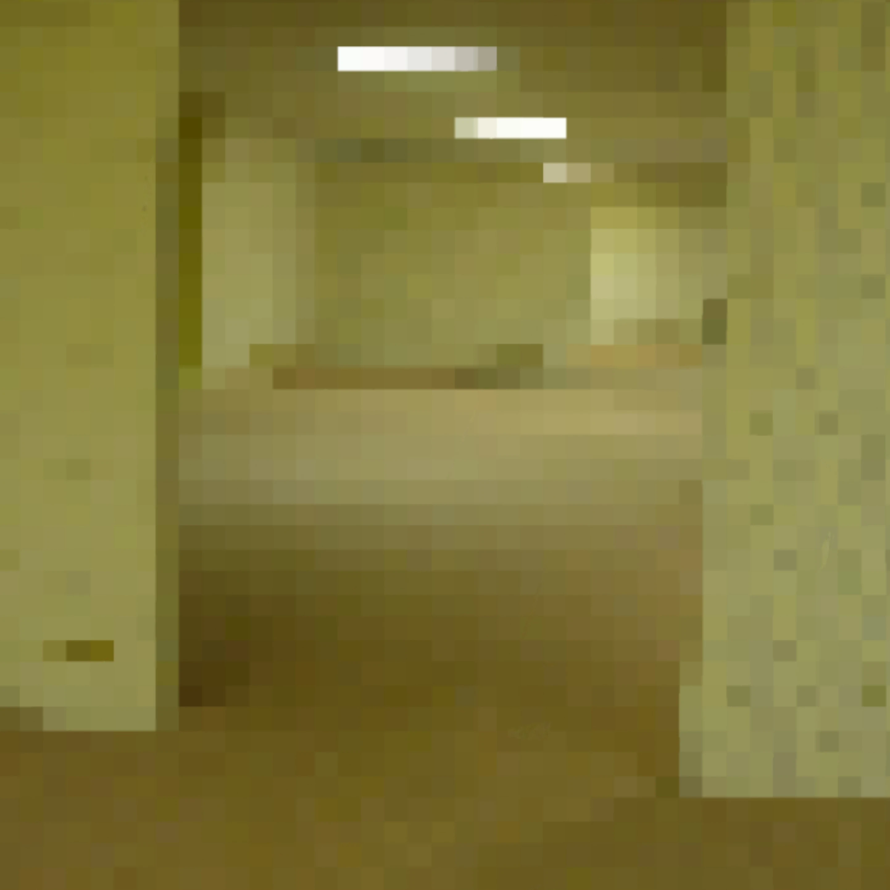 Level 0