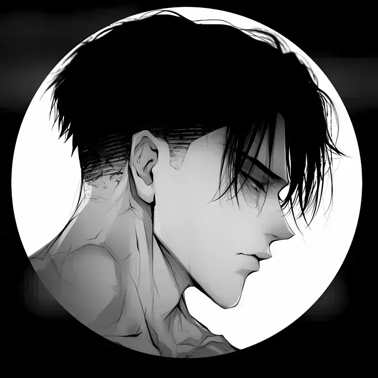 PlaidRamp8570의 Levi ackerman