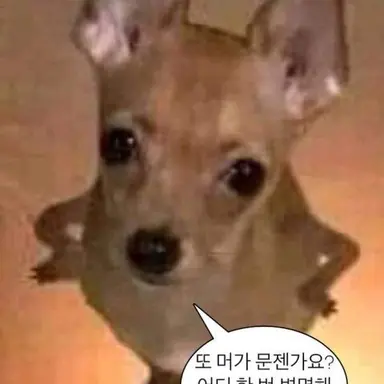 Profile image of 늑대