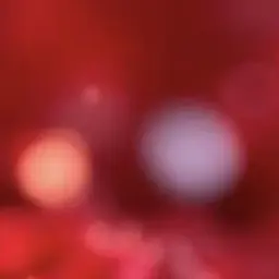 Profile image of srp