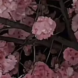 PorousTrout3881의 이상혁