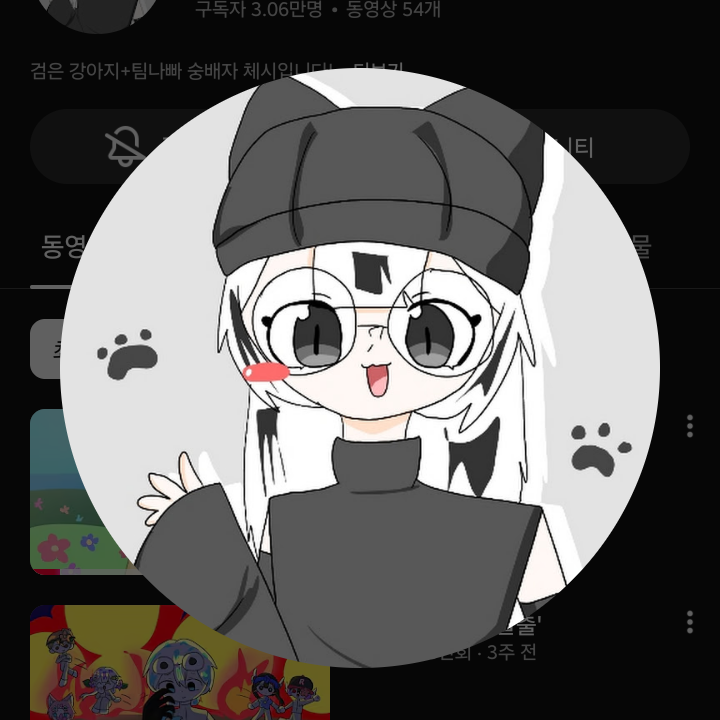 팀나빠와 체시 대표 이미지