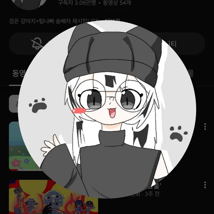 LYLCT의 팀나빠와 체시
