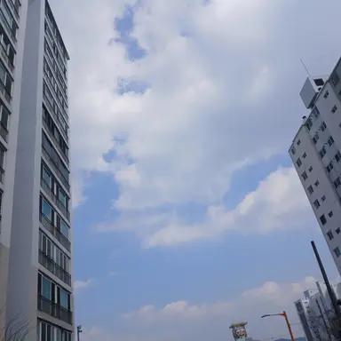 Profile image of 멜로우