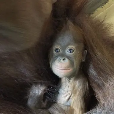 Profile image of 여미새