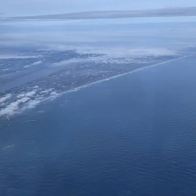 Profile image of 김수환